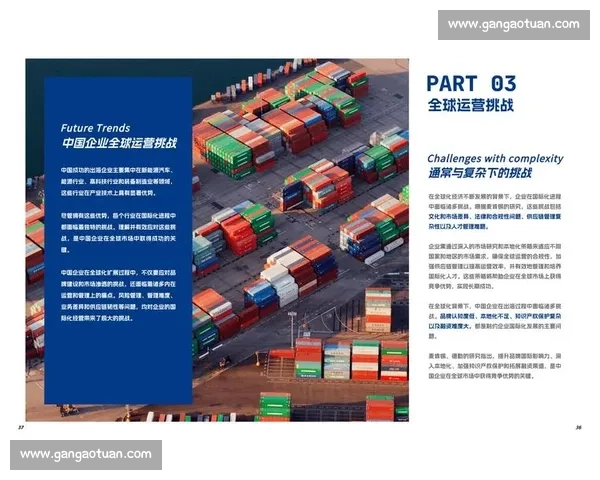 新时代体育品牌管理创新与全球化发展战略研究数字化转型路径研究