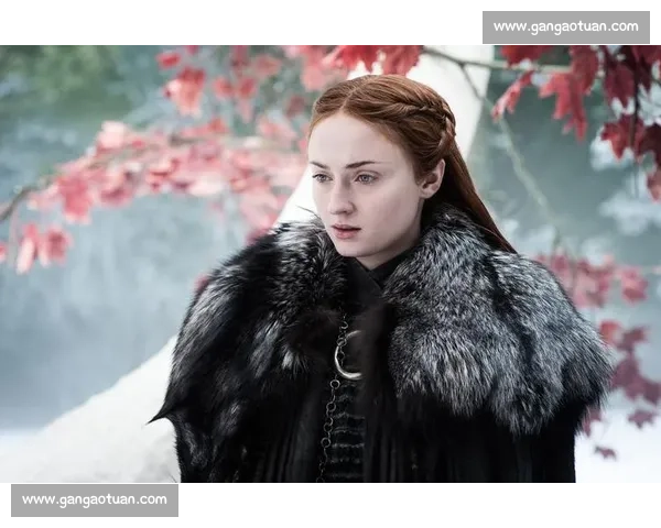 豪门世家背后的秘密与权力斗争：揭开贵族家族的荣光与暗影