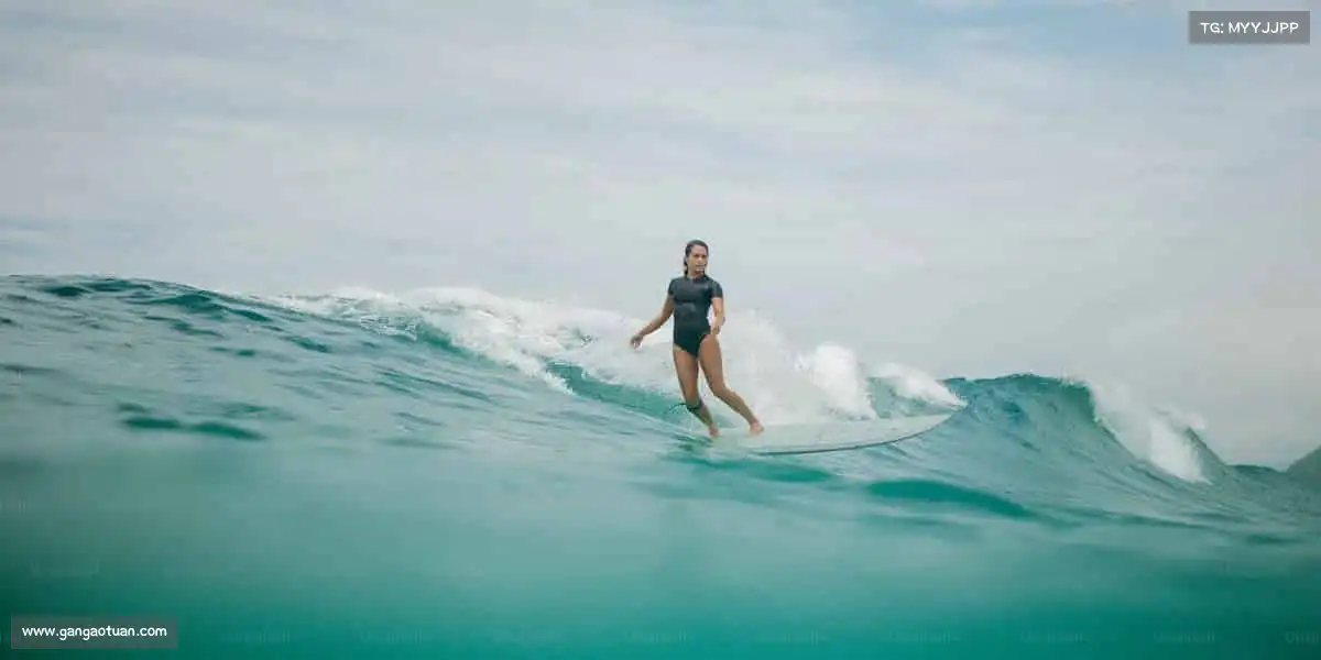 beats365官方唯一网站🏋️‍♀️汗水滴落的地方，终将盛开强大的花！